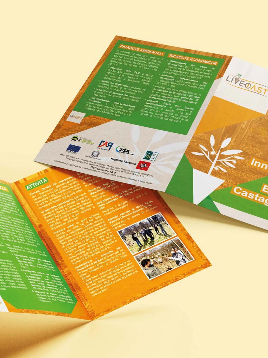 Live Cast 2 pieghevole