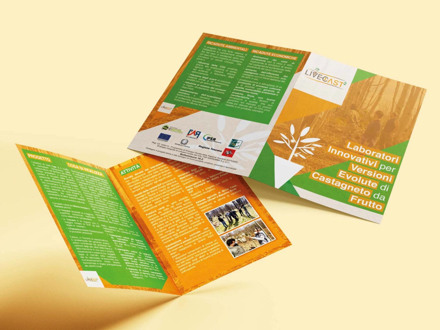 Live Cast 2 pieghevole