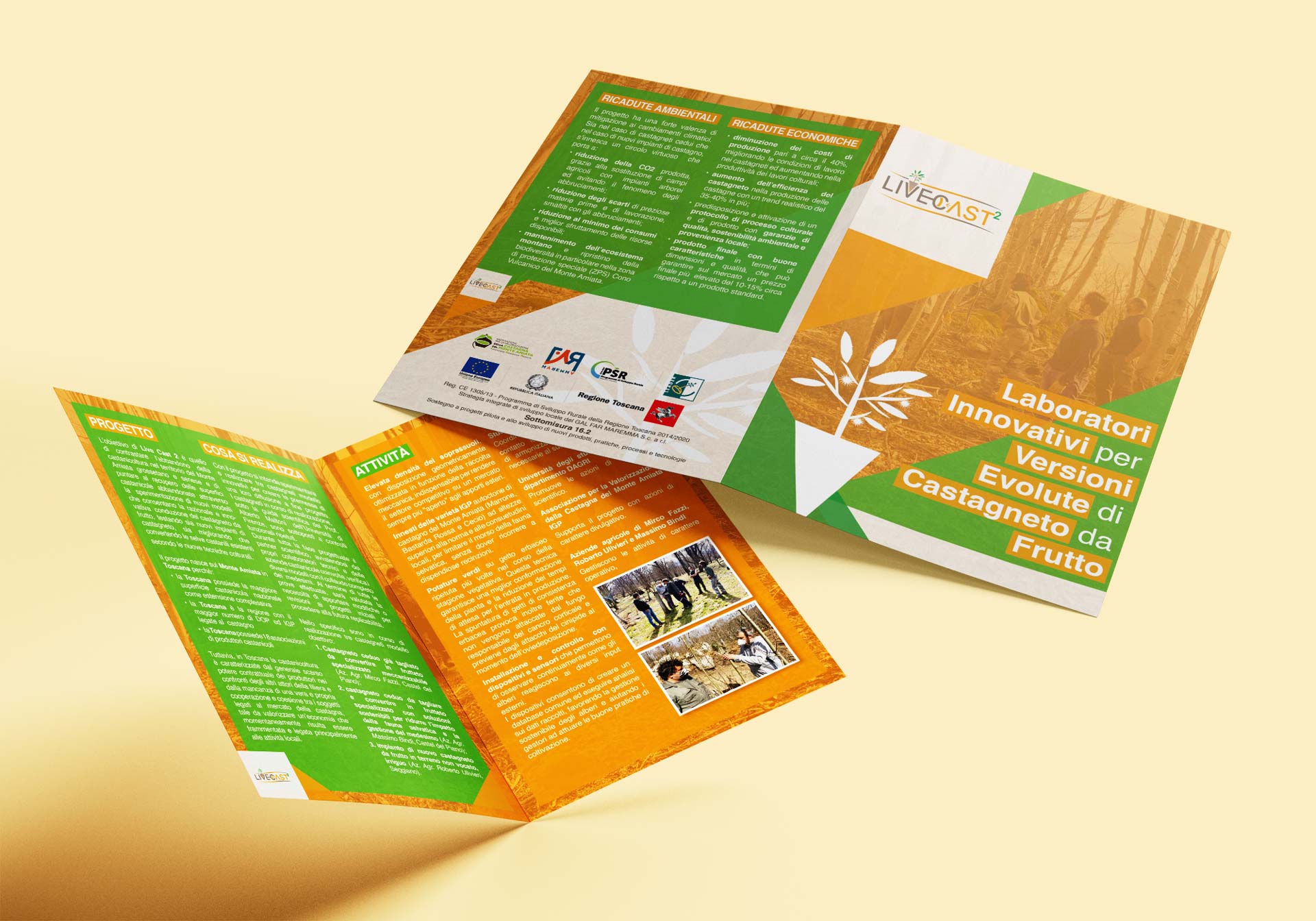 Live Cast 2 pieghevole