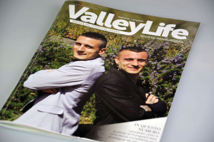 Valley Life copertina