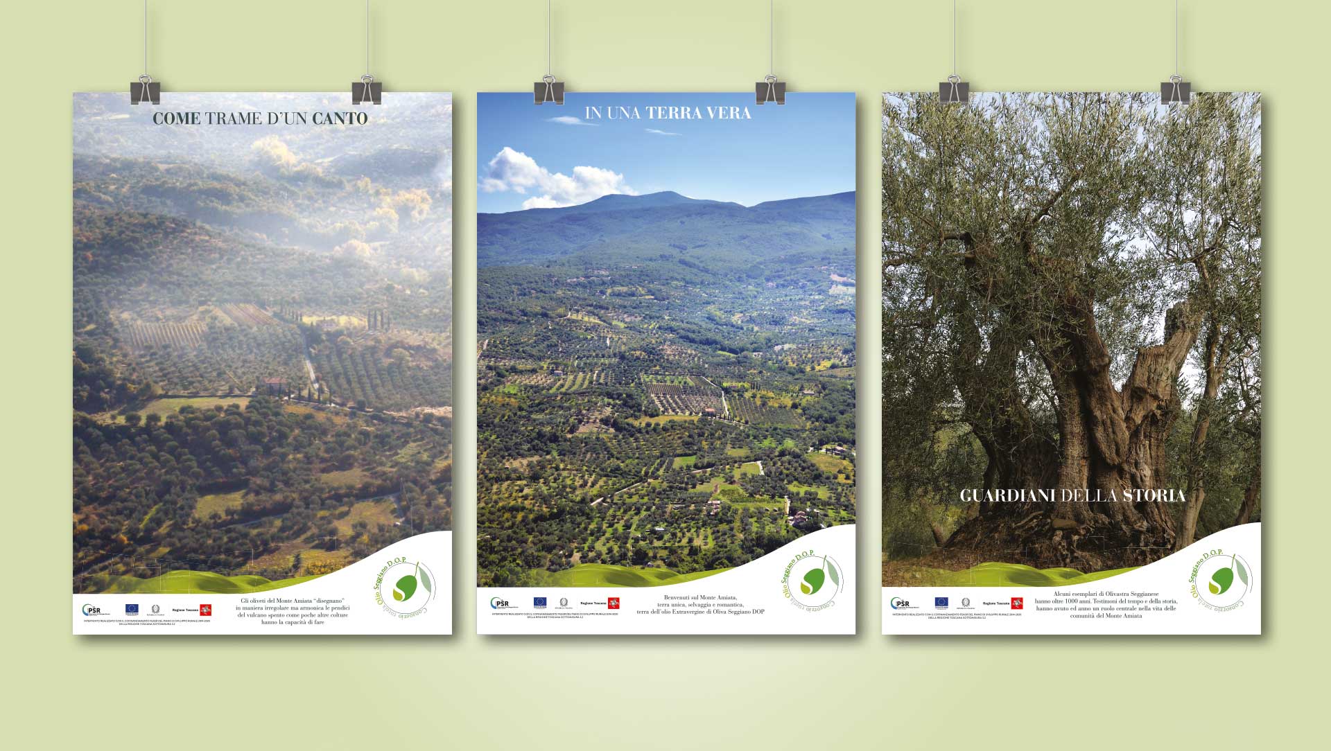 Consorzio Olio DOP Seggiano locandine