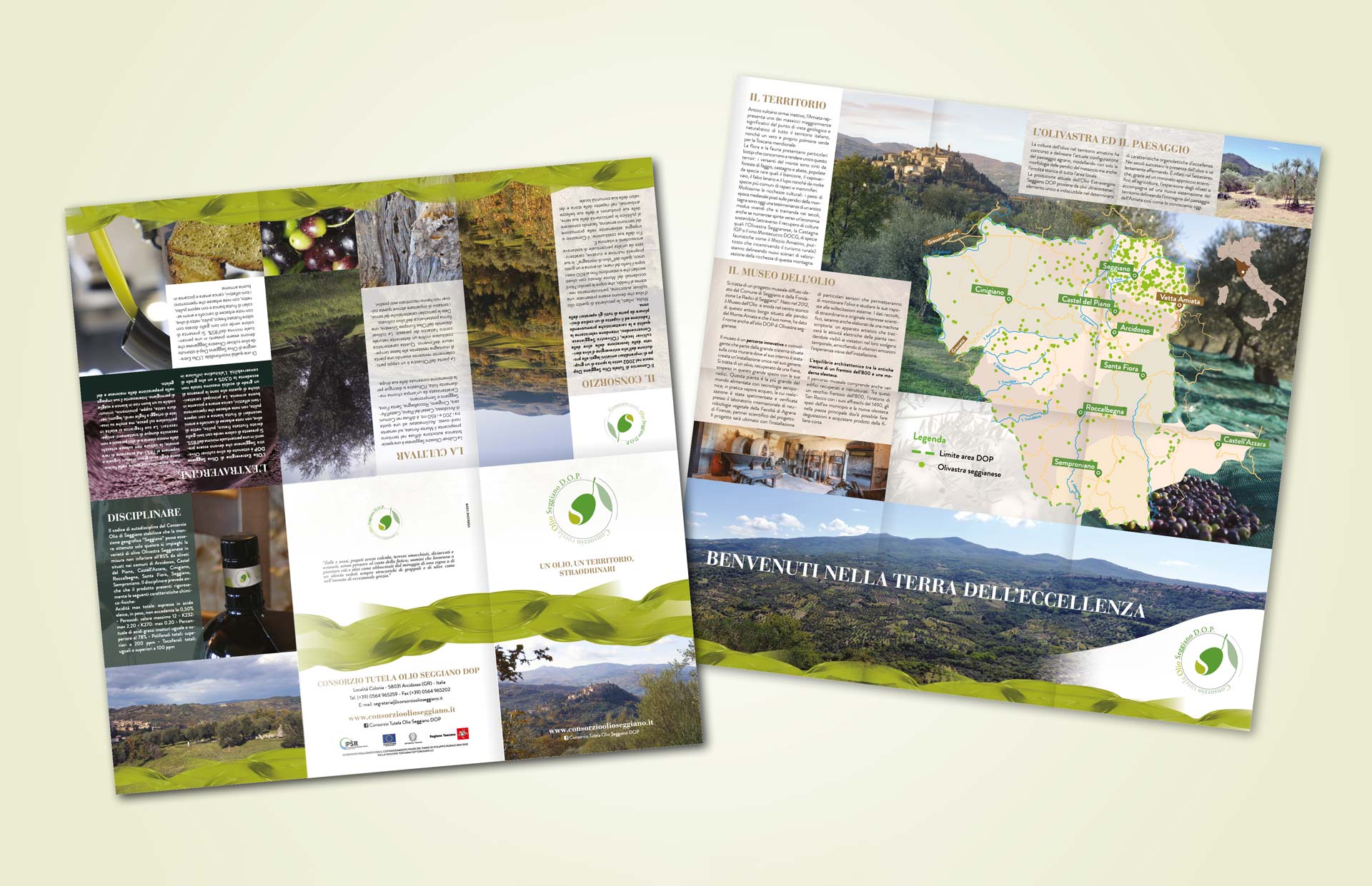 Consorzio Olio DOP Seggiano pieghevoli